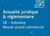 UE - Indonésie